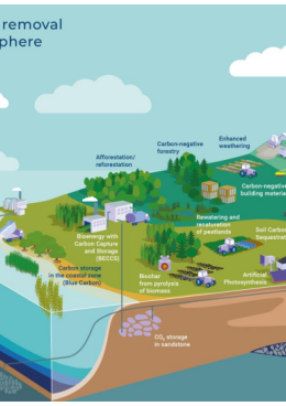 website of CDRterra, the German government funded research program on land-based CDR methods.